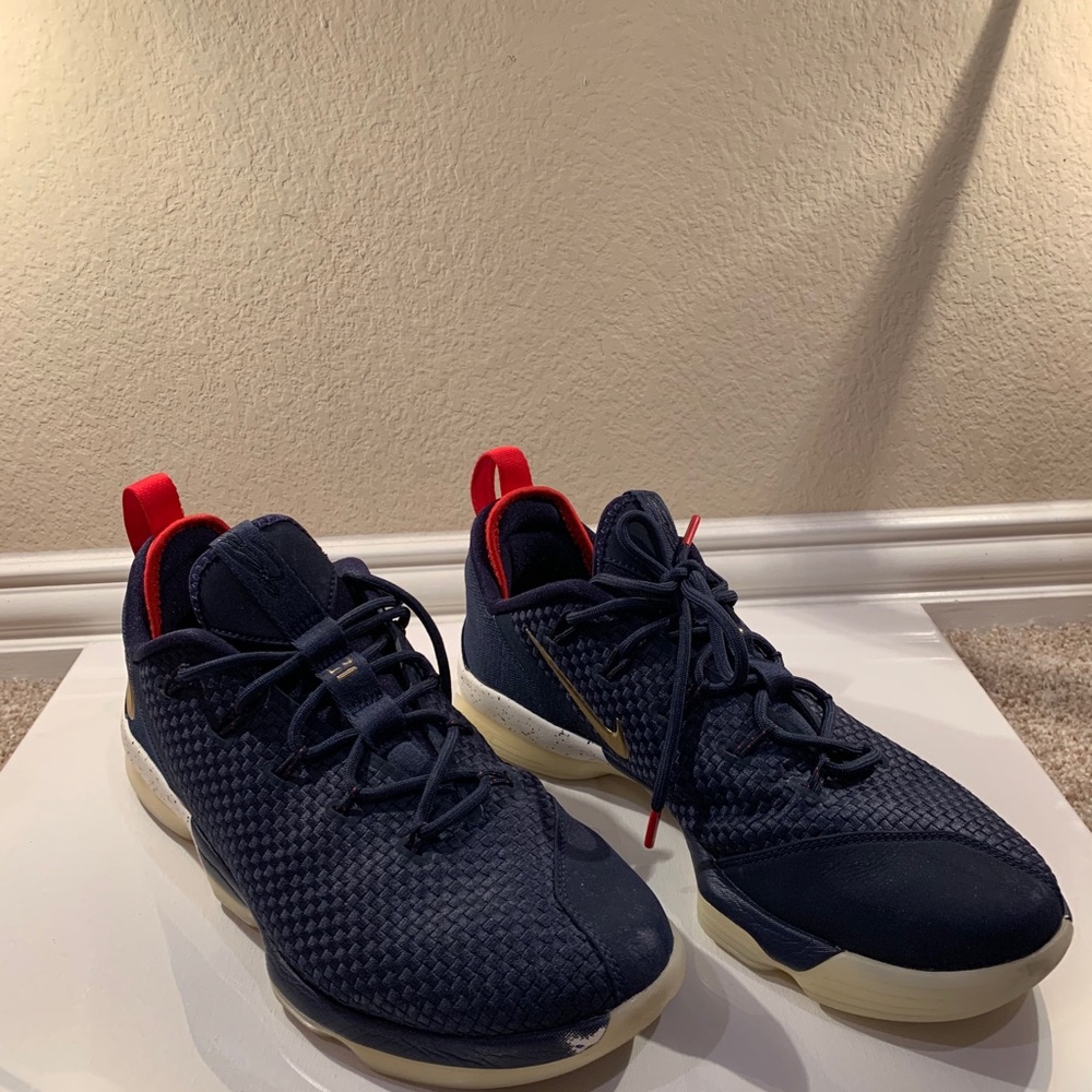 LEBRON 14 LOW